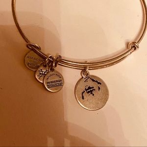 Alex and Ani bracelet